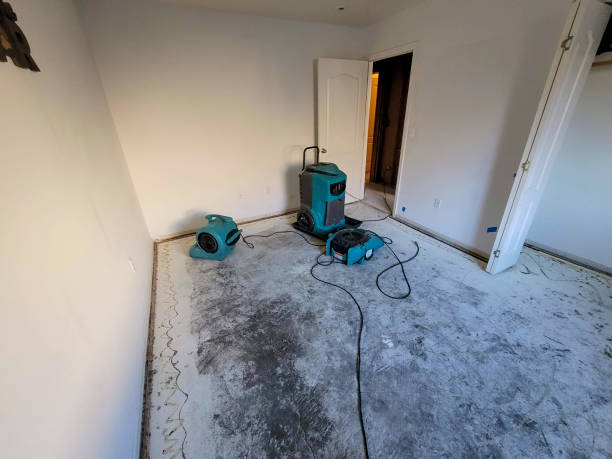  High Bridge, WA Water damage restoration Pros