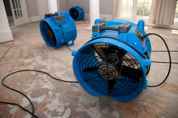 Best Flooded house restoration  in High Bridge, WA