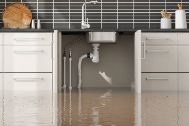 Best Fire Damage Restoration  in High Bridge, WA
