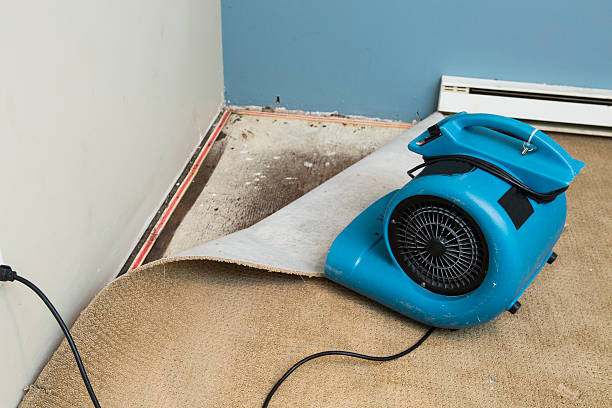 24/7 water damage repair in High Bridge, WA